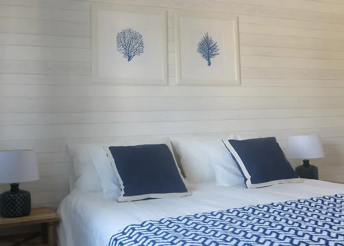 Mar Salgado Ericeira