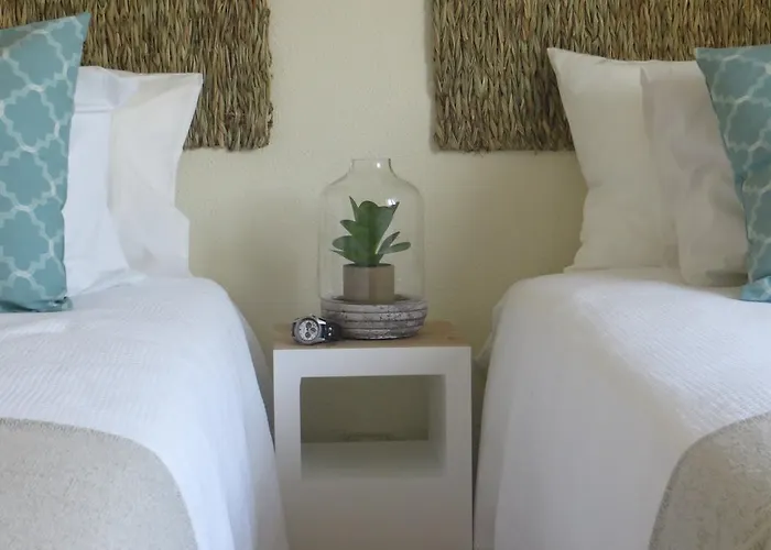 Mar Salgado Ericeira